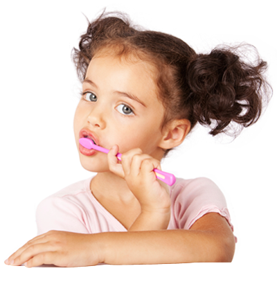 Your child should see a dentist by age one or within six months of their first tooth appearing